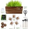 thumbnail image 4 of 5-Pack Cat Grass Kit for Indoor Cats with Wood Planter, Grow Organic Wheat Grass in 4-7 Days, Aids Digestion & Hairball Control, Ideal Birthday Gift for Cat Lovers, 4 of 6