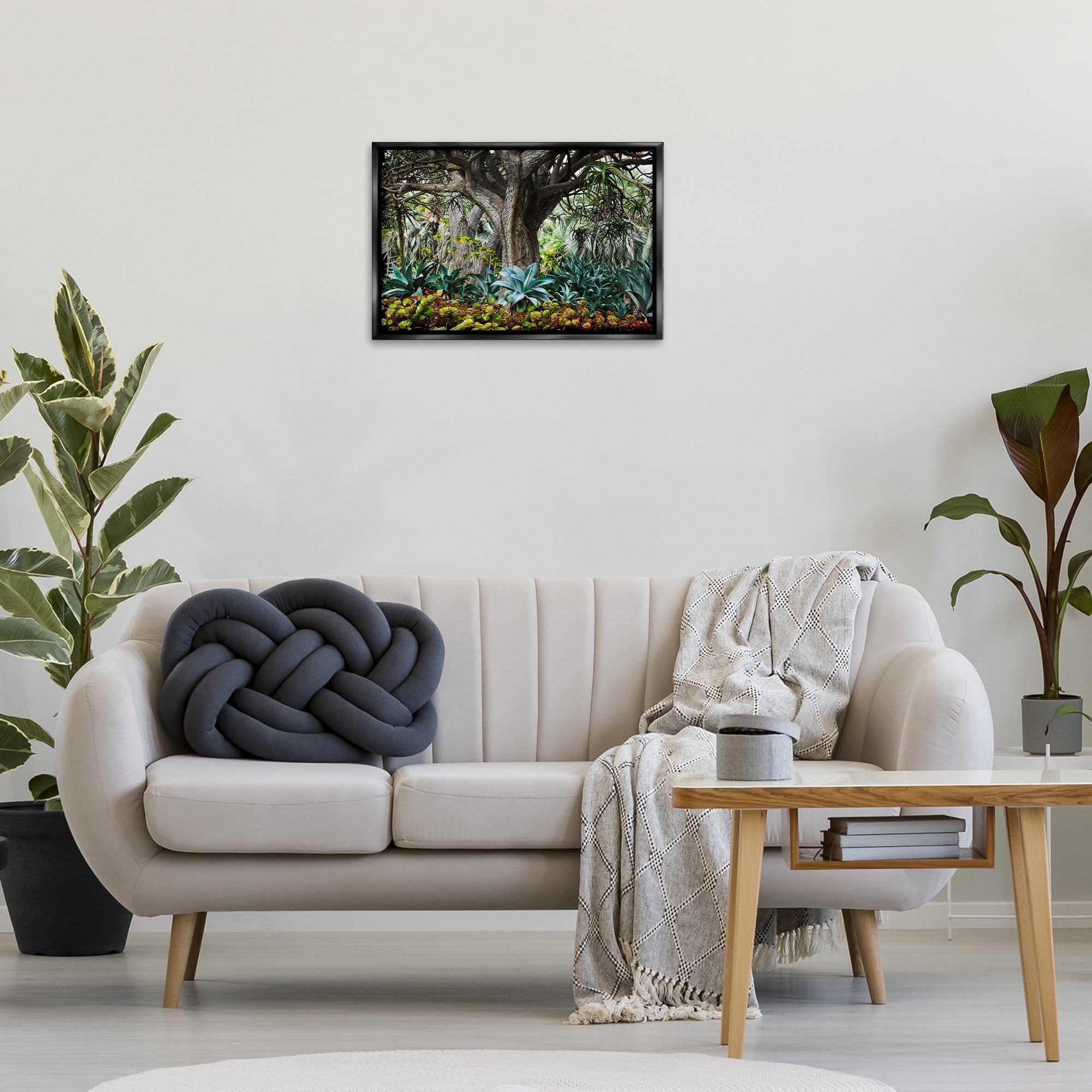 Stupell Industries Lush Tropical Vegetation Landscape & Nature Photography Black Floater Framed Canvas Art Print Wall Art, 25 x 17