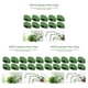 thumbnail image 1 of Soporte para plantas trepadoras Bewildely 10 piezas autoadhesivo verde, 1 of 6