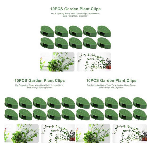 Advancent 10 Pieces Climbing Plant Support Drill-free Snap Holder Leaf Indoor Wall Garden Hook Clip Self-adhesive Fixture Invisible Type1 NO1
