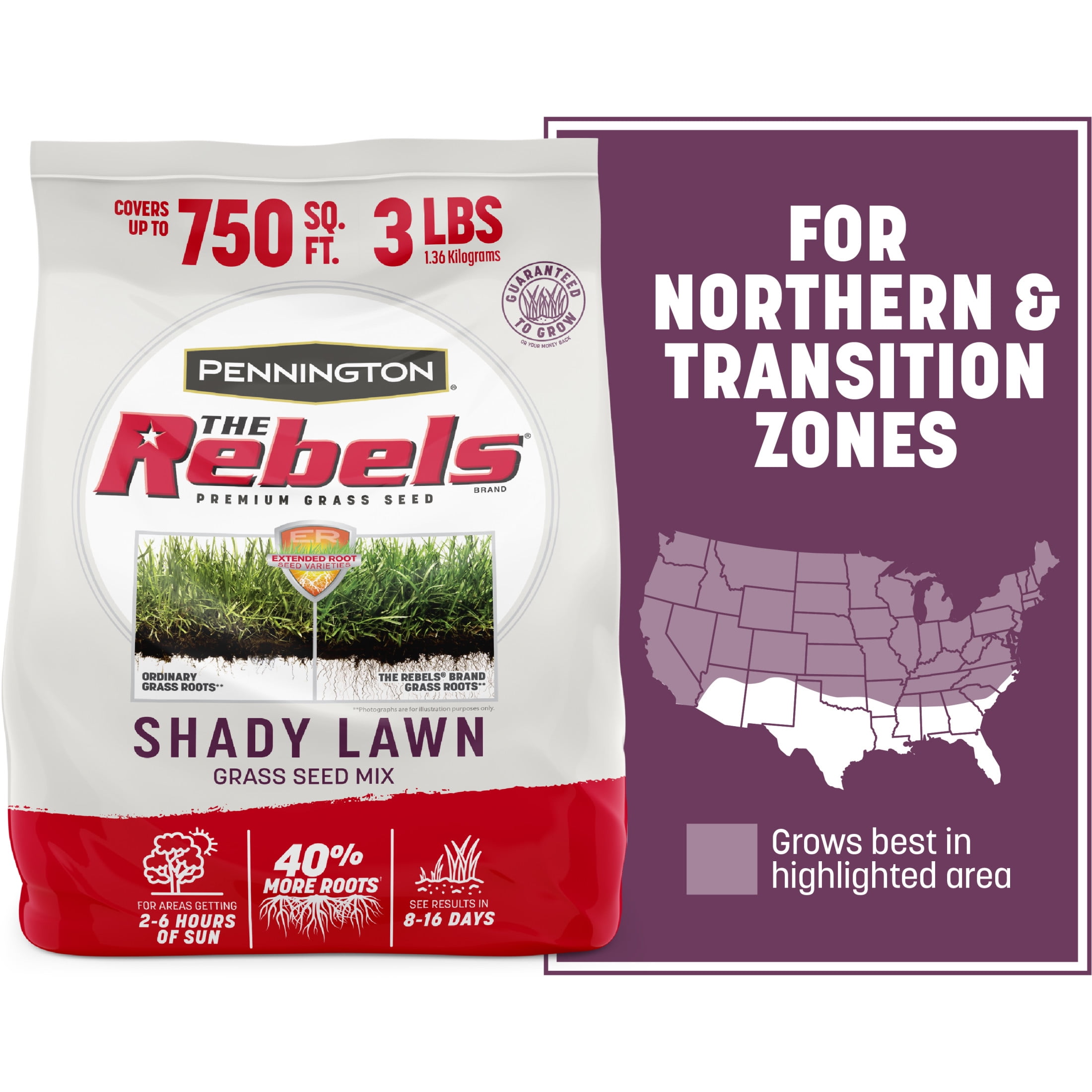 Pennington Kentucky 31 Tall Fescue Penkoted Lawn Grass Seed 50lb
