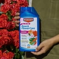 Bayer Advanced 701260 AllInOne Rose and Flower Care Concentrate, 32