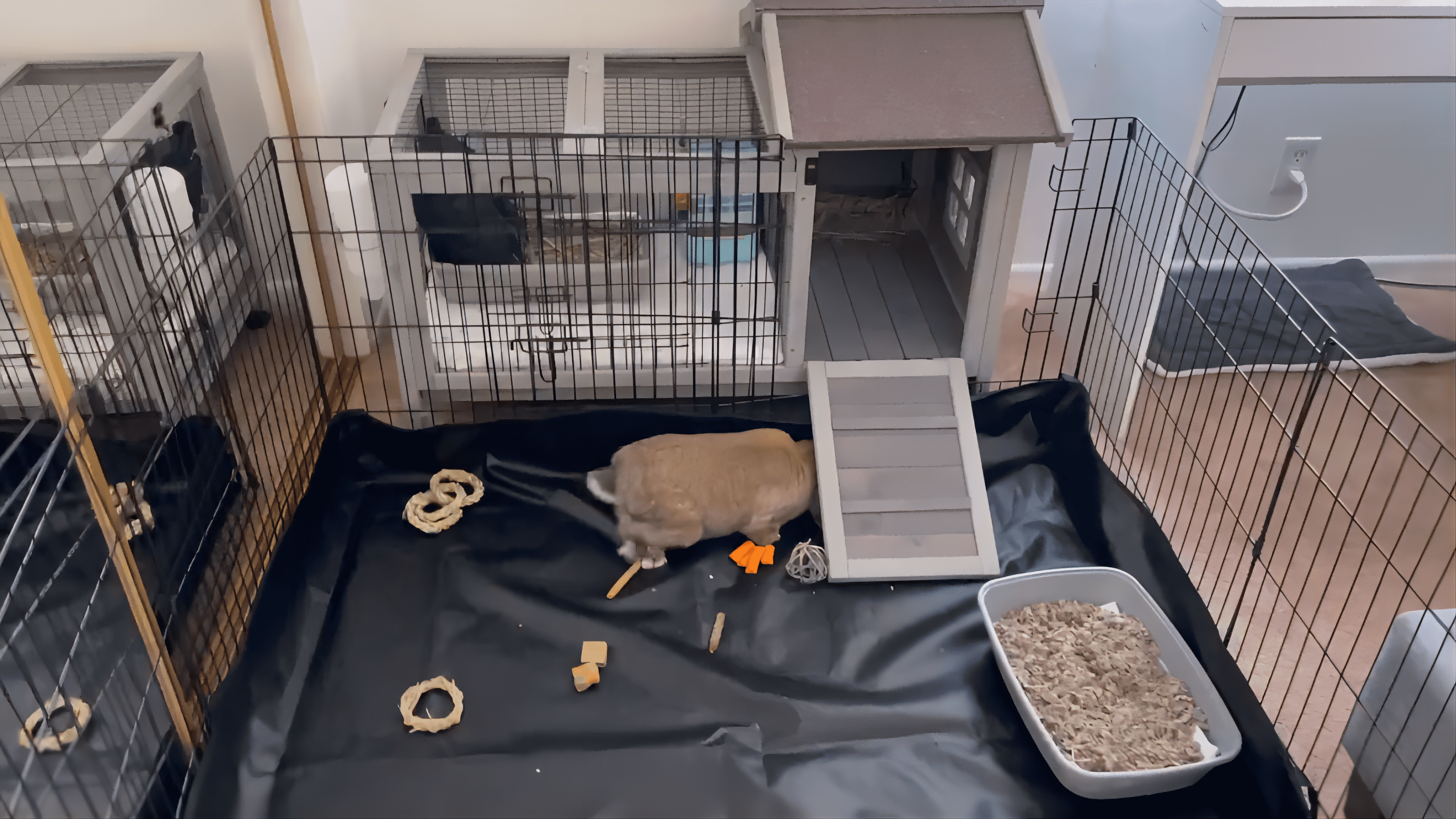 Aivituvin Pet Playpen Small Animal Playpen for Rabbits Hamsters Guinea Pigs Cage Exercise Pen