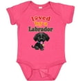 thumbnail image 3 of Inktastic Labrador Retriever Dog Black Lab Boys or Girls Baby Bodysuit, 3 of 5