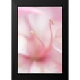 thumbnail image 2 of Murdock, Ramona 17x24 Black Modern Framed Museum Art Print Titled - Softness, 2 of 5