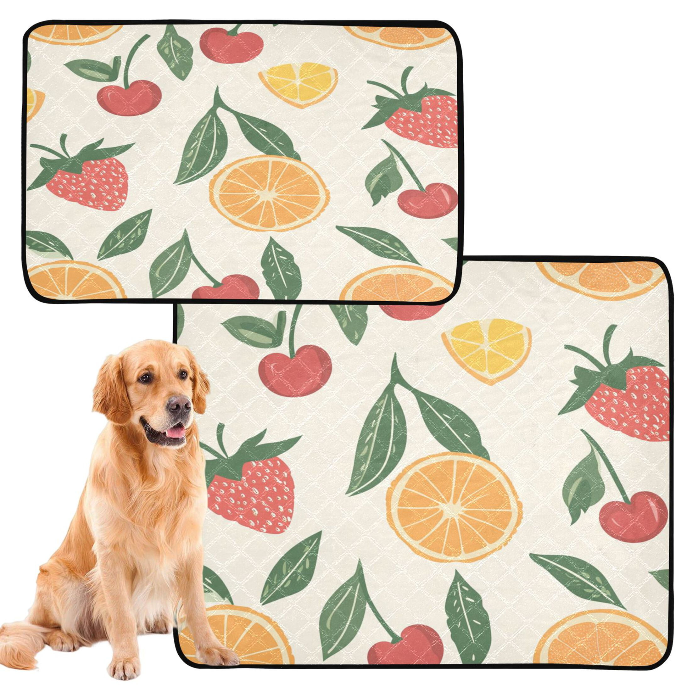 Qxltty Strawberries and Oranges on A Pastel Background Cat litter Pads Pet Set of 3 Diaper Mats Center Anti-leakage Layer Absorbent Soft and Comfortable