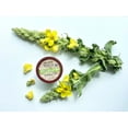 thumbnail image 5 of Mullein Leaf Tea T-CUP™ Herbal Tea Pods  | Single Cup Brew, 5 of 11