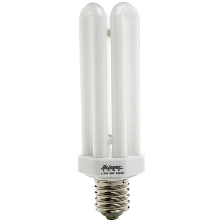 Designers Edge L765 65-Watt Fluorescent Bulb Replacement, Equivalent to 300 Watt Incandescent, Style 4U, Mogul Base