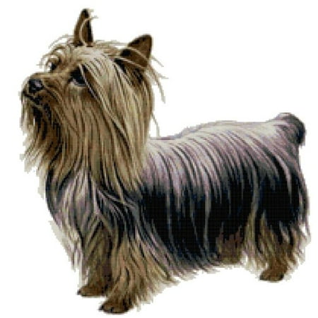 - Silky Terrier Dog Counted Cross Stitch Pattern