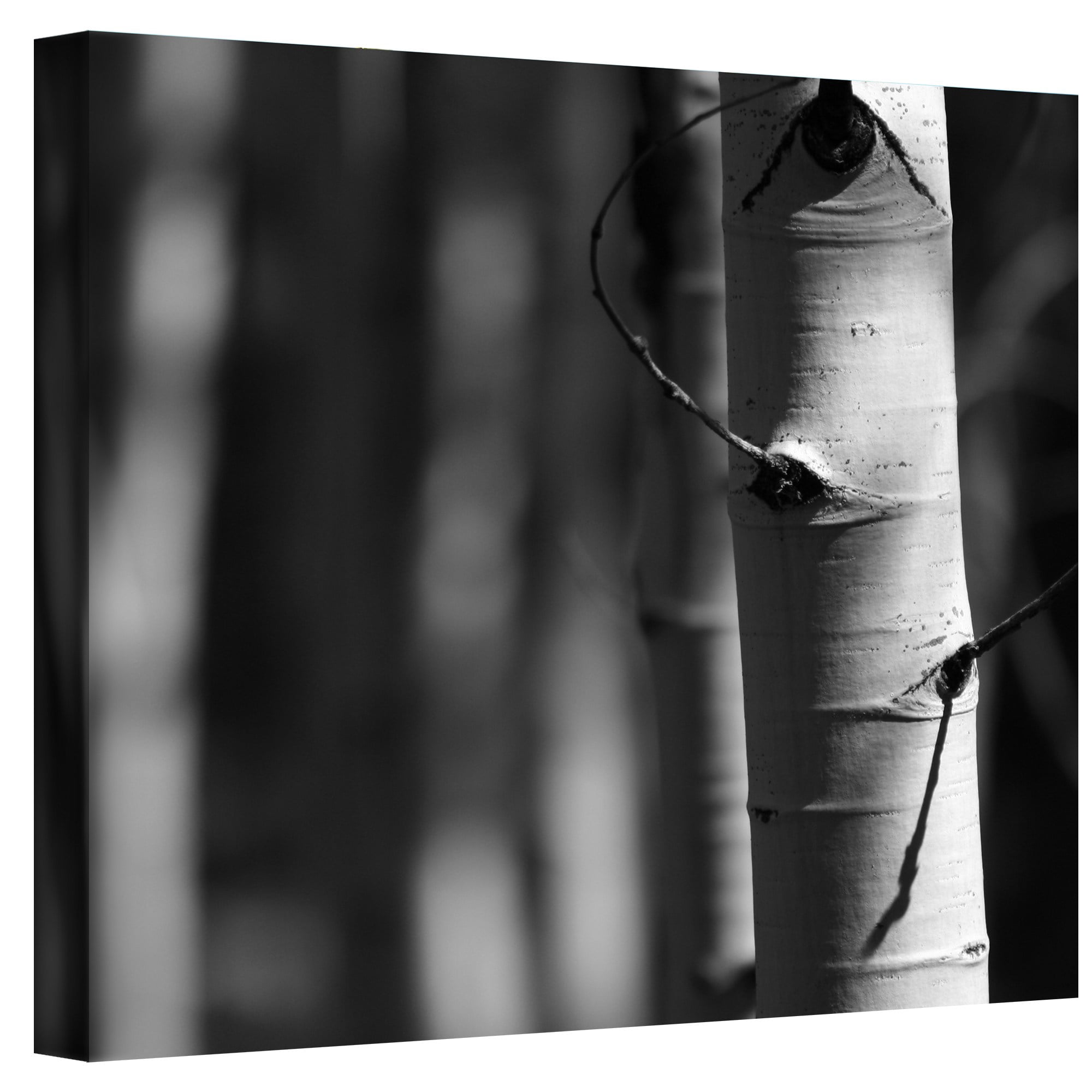Mark Ross "A Way Out" Wrapped Canvas Art