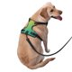 thumbnail image 2 of Balery Teal To Yellow Gradient Arnés para Perros Grandes Antitirones, Arnés con Correa para Gato, Arnés Tipo Chaleco para Perros Pequeños-Large, 2 of 6