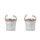 thumbnail image 1 of 2x Cubos de Hierro Galvanizado Shabby Chic, Maceter Pntas, Jarrones para Flores, Balcón para El Hogar, Decoración Floral Baoblaze Maceta Cubo Maceta, 1 of 8
