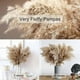 thumbnail image 2 of 30 Stems Dried Pampas Grass, Pampas Grass Fluffy Pampas Floral,17 Inch Bulk Pampas Grass Decor flow, 2 of 5