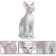 thumbnail image 2 of Figura de gato esfinge de resina, modelo de gato sin pelo, estatua de gato esfinge sin pelo para decoración del hogar, color gris., 2 of 5