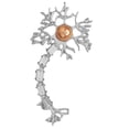 thumbnail image 4 of Broche de Tejido Nervioso, Joyería, , Insignia, Bolsa, de Enfermera, Trajes, Decoración , Plata, tal se describe Fernando Broche de tejido nervioso, 4 of 6