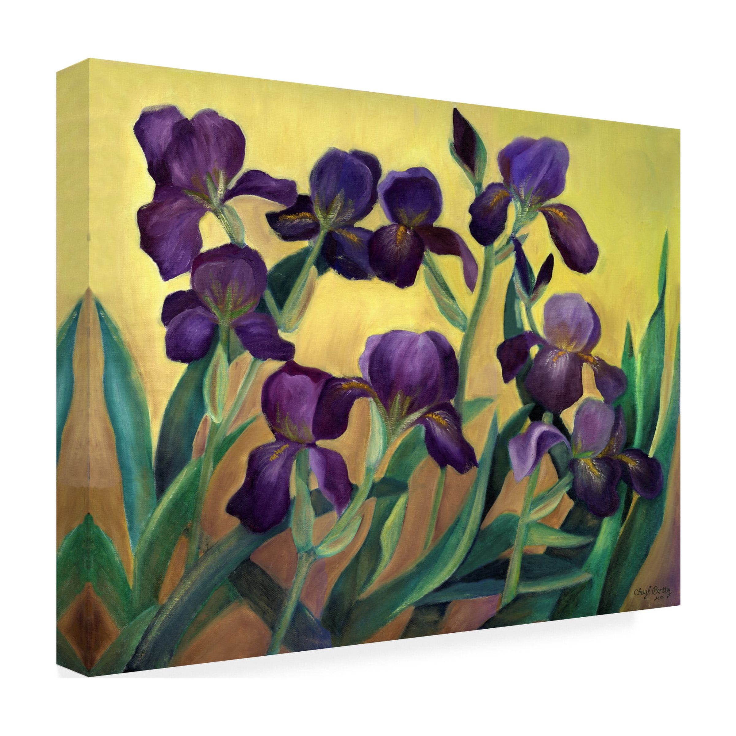 Trademark Fine Art 'Purple Bearded Iris' Canvas Art by Cheryl Bartley