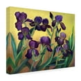 thumbnail image 4 of Trademark Fine Art 'Purple Bearded Iris' Canvas Art by Cheryl Bartley, 4 of 4
