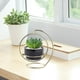 thumbnail image 5 of Macetas modernas kusrkot con soporte de hierro mini maceta de cactus decoración interior F negro, 5 of 8