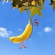 thumbnail image 4 of Insect Banana Feeder Outdoor Hanging Insect Feeder For Habitat Garden Decor, 4 of 6
