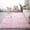 Pink, variant on Matoen Soft Floor Carpets for Bedroom Living Room, Fluffy Area Rug , Fuzzy and Comfy Carpet Rug for Room Décor, Coffee, 3x5 Feet