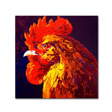 - Trademark Fine Art 'Jewel' Canvas Art by Marion Rose