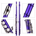 thumbnail image 4 of C Flute, Closed Hole 16 Keys Flute with Carry Case Gloves Cleaning Cloth Cleaning Rod Mini Screwdriver for Performance and Daily Practice, 4 of 7