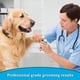 thumbnail image 5 of Cortaúñas y recortadores para mascotas para perros y gatos, con protector de seguridad para evitar cortes excesivos, lima de uñas gratis, hoja afilada, herramienta de aseo profesional para animales, 5 of 8
