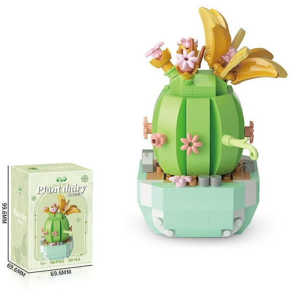 Succulent Building Set, Succulent Bonsai Botanical Decor Collection Building Kit, Build a Succulents Plants Display Piece for Home or Office, Ideal Gi