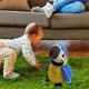 thumbnail image 4 of que habla de peluche, juguete educativo para , registro de sonido, interactivo, , electrónico, mascotas, para de azul Yotijar Loro parlante, 4 of 8