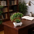 thumbnail image 5 of strola Toys Fake Potted Plants 7.9 inch, Realistic Artificial Greenery for Home Decor, Small Fake Plants for Desk Shelf Living Room, 5 of 6