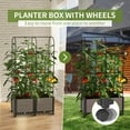 thumbnail image 6 of Slsy Raised Garden Bed Planter Box with Wheels, Tomato Cage Planter Raised Garden Bed with Trellis for Climbing Vegetables Plants Tomato Cage, Indoor Outdoor Use, 6 of 12