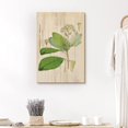 thumbnail image 1 of PixonSign Canvas Print Wall Art Wood Style White Flowers & Green Leaves Floral Wildlife Illustrations Modern Art Traditional Relax/Calm Multicolor Pastel for Living Room, Bedroom, Office - 12"x18", 1 of 5