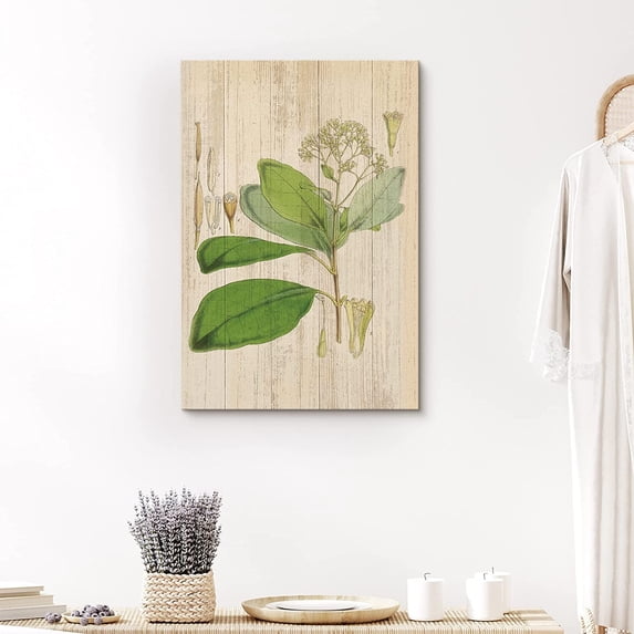 PixonSign Canvas Print Wall Art Wood Style White Flowers & Green Leaves Floral Wildlife Illustrations Modern Art Traditional Relax/Calm Multicolor Pastel for Living Room, Bedroom, Office - 12"x18"