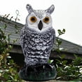 thumbnail image 3 of jinwen Fake Owl Bird Rabbits Deterrent for Garden Protector Keep Birds Away 13x27cm, 3 of 8