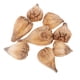 thumbnail image 5 of 8 Piezas de Flores Secas Naturales, , , Adornos de , Decoración para hogar, 5 of 7