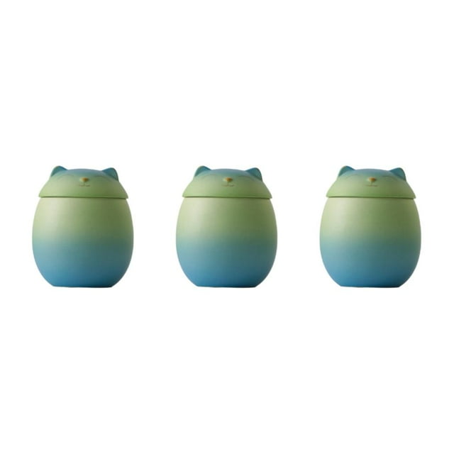 Ounissouiy Botes de cerámica para cocina, gran capacidad, resistentes y duraderos, portátiles, a prueba de humedad, ancho, azul-verde, 500ml Type1 NO1