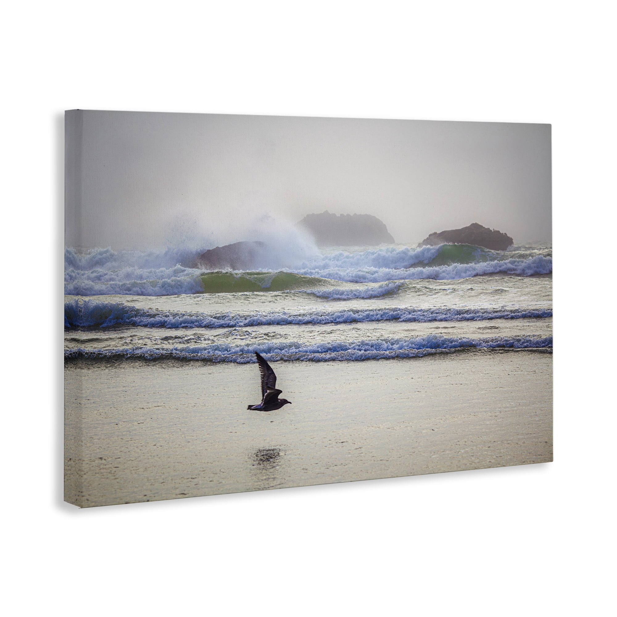 Stupell Industries Flying Low over Shore Landscape & Nature Photography Wrapped Canvas Art Print Wall Art, 30 x 20