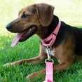 thumbnail image 3 of Country Brook Petz Martingale Dog Collar - Heavy-Duty Training Collar with No Buckle - Service Dog Collar for All Pups - Vibrant, Colorful Collection (Pink, 3/4 Inch, Small), 3 of 8