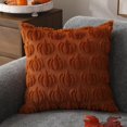 thumbnail image 7 of Hoosue Fall Decorative Throw Pillow Covers 18 x 18 Inch Set of 2, Thanksgiving Autumn Harvest Pumpkin Cushion Covers, 3D Embroidered Pillow Cases for Couch Bedroom Living Room Decor, Rust, 7 of 7