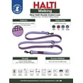 thumbnail image 2 of HALTI Double Ended Lead (6'6"), Purple, 2 of 2