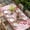 White Light Pink Bright Red, variant on Valentine's Day Table Cloths for 8 Foot Rectangle Tables, Watercolor Love Roses Dog Truck Beige Patio Waterproof Elastic Fitted Tablecloths, Washable Rectangular Table Cover for Camping