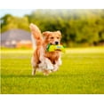 thumbnail image 5 of Soft Taco Dog Toys Fun interactive Squeaker Small to Medium Dogs Choose Quantity (2 Taco Toys), 5 of 6