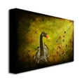thumbnail image 3 of Trademark Fine Art "Goose and Butterflies" Canvas Wall Art by Lois Bryan, 3 of 3