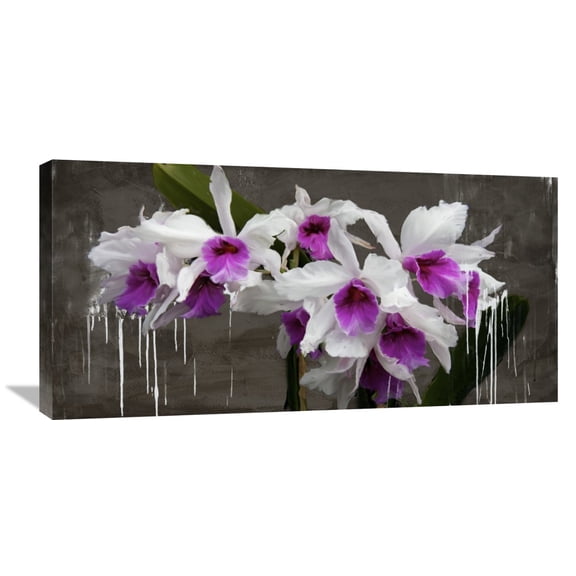 Global Gallery Alex Vinci,'Orchid blackboard' Stretched Canvas Artwork