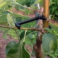thumbnail image 5 of 20PCS/Lot Plastic Plant Training Clips Tool Less Installation Garden Branch Shaping System for Harvest, 5 of 8