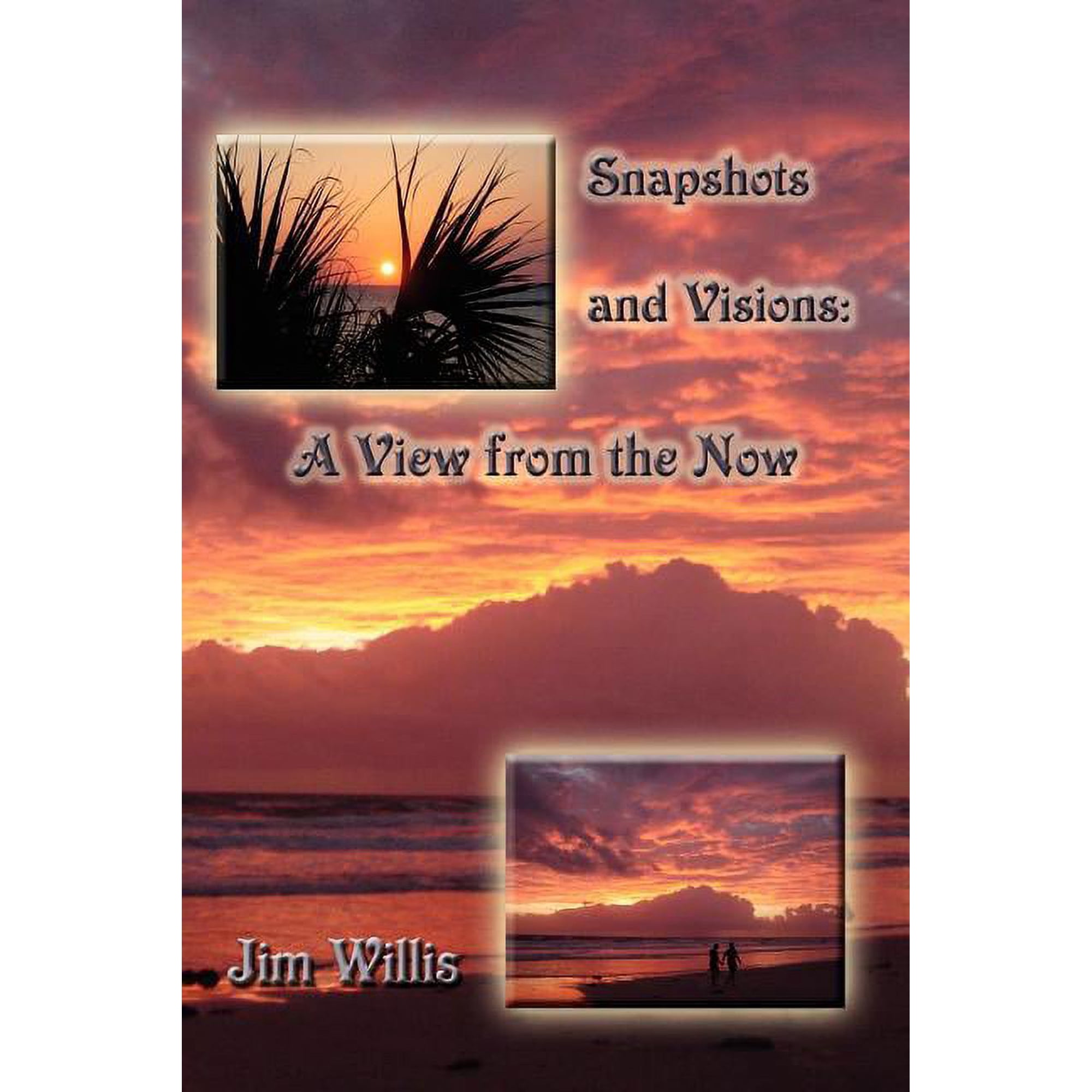 Snapshots and Visions: A View from the Now (Paperback)