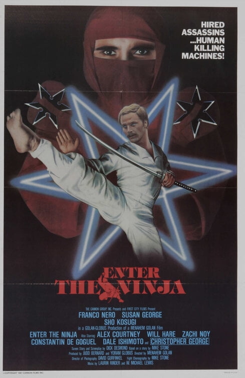 enter the ninja poster