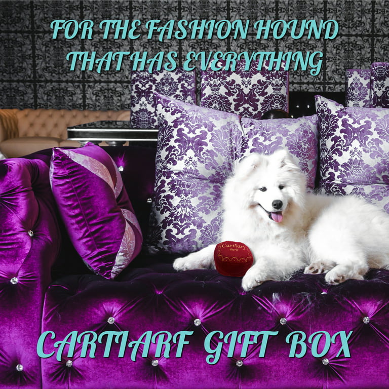 Dog Diggin Designs Priceless Capsule Gift Collection | Unique Squeaky Parody Plush Dog Toys – Thinking Outside The Box