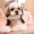 thumbnail image 2 of Pearl Dog Collars, Pearl Cat Collar Pu Leather Puppy Necklace with Crystal Rhinestone Diamond for Girl Kitten XXSmall Small Medium Female Dogs Jewelry Wedding & Birthday Party, 2 of 6