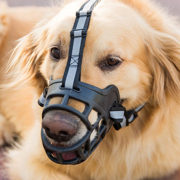 Keep Your Dog Safe and Secure with this Adjustable Breathable Dog Muzzle!